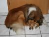 2014-09-27-B-Wurf-68