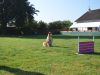 2014-10-04-Training-17