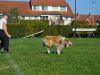 2014-10-04-Training-79