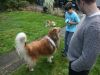 2014-11-02-Besuch-Balou-1
