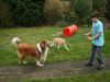2014-11-02-Besuch-Balou-11