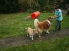 2014-11-02-Besuch-Balou-12