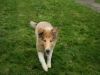 2014-11-02-Besuch-Balou-15