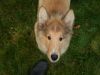 2014-11-02-Besuch-Balou-16