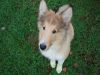 2014-11-02-Besuch-Balou-17