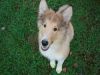 2014-11-02-Besuch-Balou-18