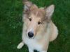 2014-11-02-Besuch-Balou-19