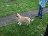 2014-11-02-Besuch-Balou-2