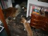 2014-11-02-Besuch-Balou-22
