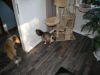 2014-11-02-Besuch-Balou-23