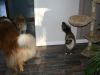 2014-11-02-Besuch-Balou-25