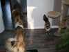 2014-11-02-Besuch-Balou-27