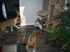 2014-11-02-Besuch-Balou-28