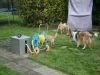 2014-11-02-Besuch-Balou-3