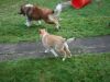 2014-11-02-Besuch-Balou-6
