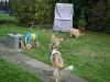 2014-11-02-Besuch-Balou-8