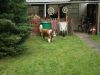 2014-11-02-Besuch-Balou-9