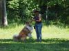 2016-06-05-hfp-bandit-3