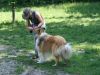 2016-06-05-hfs_bandit-23