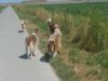 2018-08-02-urlaub-8