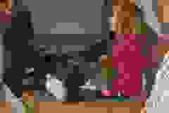 2014-08-18 B-Wurf, Kinderbesuch