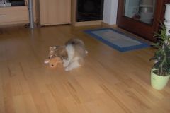 2007-03-03 - Grace`s Einzug