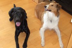 2007-09-22 - Grace bei Freundin Alba