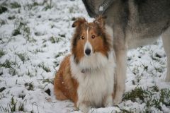 2008-01-03 - Schneespaziergang