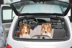 2008-01-05 - Besuch im Harz