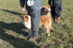 2008-02-08 - Feldmark