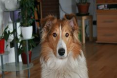 2008-03-28 - Schnappschüsse