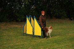 2008-09-16 - Obedience