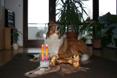 2009-01-03 - Grace 2 Geb.