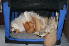 2009-02-15 - Müde bin ich