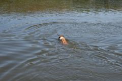 2009-06-01 - Fahrradtour