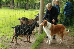 2009-06-02 - Wildgatter HI