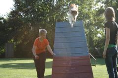 2009-06-25 - Verein, Agility