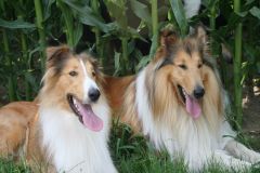 2009-07-05 - Besuch El-Lob