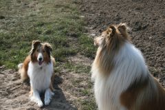 2009-09-29 - Hochzeit Grace & El-Lobo