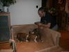 2009-12-30 - A-Wurf & Gini, 34.Tag - 75