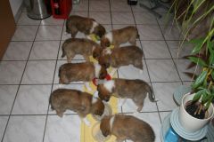 2010-01-03 - A-Wurf, 38.Tag