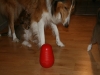 2010-01-09 - A-Wurf, 44.Tag - 98