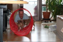 2010-01-10 - A-Wurf, 45.Tag