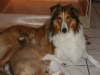 2010-02-04 - A-Wurf 9.Woche - 18