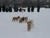 2010-02-14 Schneespaziergang - 110