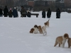 2010-02-14 Schneespaziergang - 116