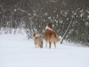 2010-02-14 Schneespaziergang - 23