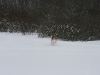 2010-02-14 Schneespaziergang - 26