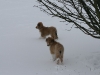 2010-02-14 Schneespaziergang - 61