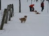 2010-02-14 Schneespaziergang - 66